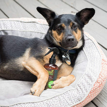 Load image into Gallery viewer, Fresh Wave All Natural Odor Eliminator Travel & Home Spray 8 oz (2 Pack)