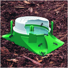 Load image into Gallery viewer, Terro Outdoor Liquid Ant Baits