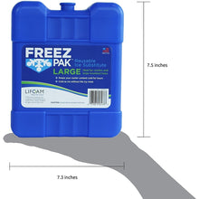 Load image into Gallery viewer, Freez Pak Large Reusable Ice Pack