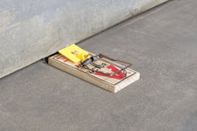 Load image into Gallery viewer, Victor rat Traps M326 (Pack of 2)