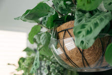 Load image into Gallery viewer, Curtis Wagner Plastics Plant Hanging Basket Drip Pans (5-Pack) - Clear, Round, Thin Plastic for Indoor or Garden - Clear, Black & Terracotta