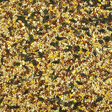 Load image into Gallery viewer, Kaytee Wild Bird Food, 5lb