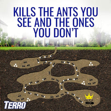 Load image into Gallery viewer, Terro Outdoor Liquid Ant Baits