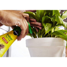 Load image into Gallery viewer, Miracle-Gro 100055 Indoor Plant Food
