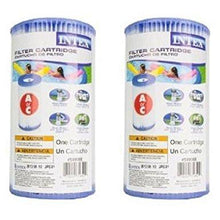 Load image into Gallery viewer, Intex 29000E/59900E Easy Set Pool F24Sd Replacement Type A or C Filter Cartridge - (Pack of 2)
