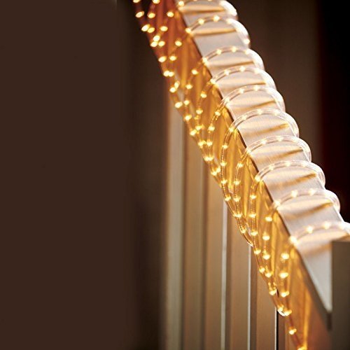 Celebrations FBA_2T41A115 Indoor/Outdoor Incandescent Rope, 18', 216 Clear Lights