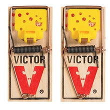 Load image into Gallery viewer, Victor EZ set mouse trap (Pack of 12)
