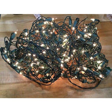 Load image into Gallery viewer, Celebrations P92M41A1 Twinkle Net Light Set, 4&#39; L x 6&#39; W, 150 Clear Lights
