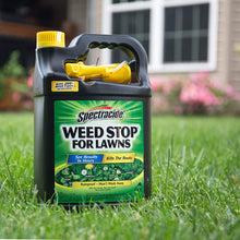 Load image into Gallery viewer, Spectracide 95833 Weed Stop For Lawns, 1-Gallon Spray
