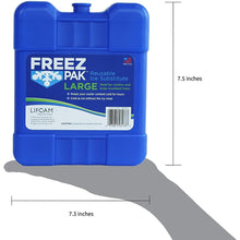 Load image into Gallery viewer, Freez Pak Large Reusable Ice Pack
