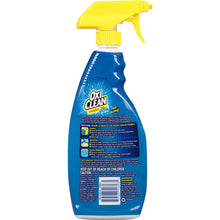 Load image into Gallery viewer, Oxiclean Stain Remover Spray, 21.5 oz
