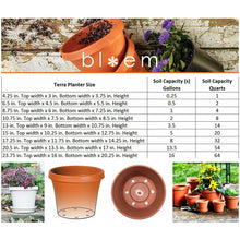 Load image into Gallery viewer, Bloem Bloem Terra Pot Planter 1
