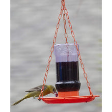 Load image into Gallery viewer, Perky-Pet 253 Oriole Jelly Wild Bird Feeder
