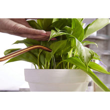 Load image into Gallery viewer, Miracle-Gro 100055 Indoor Plant Food
