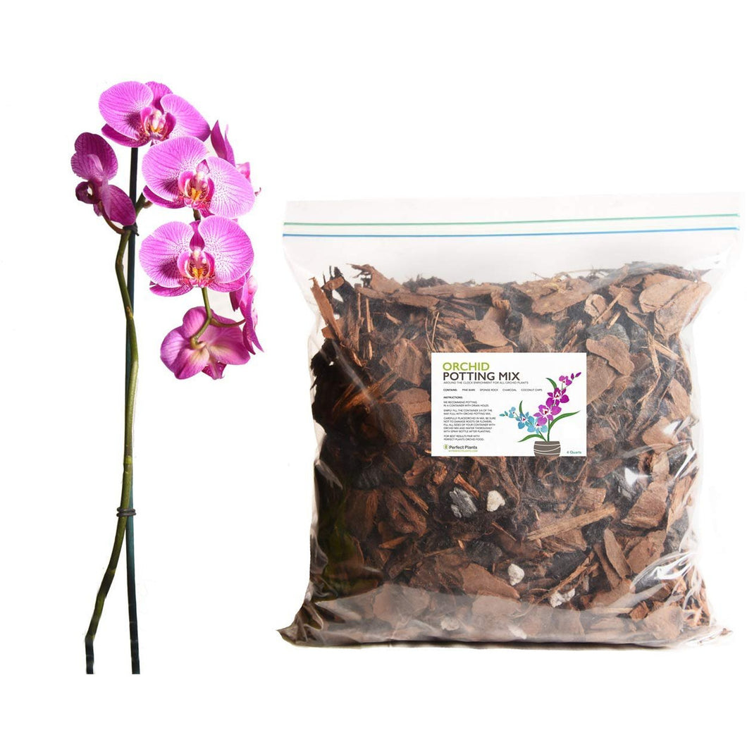 Organic Orchid Potting Mix by Perfect Plants - 4 Quarts Special Blend for Proper Root Development on All Orchid Plant Types