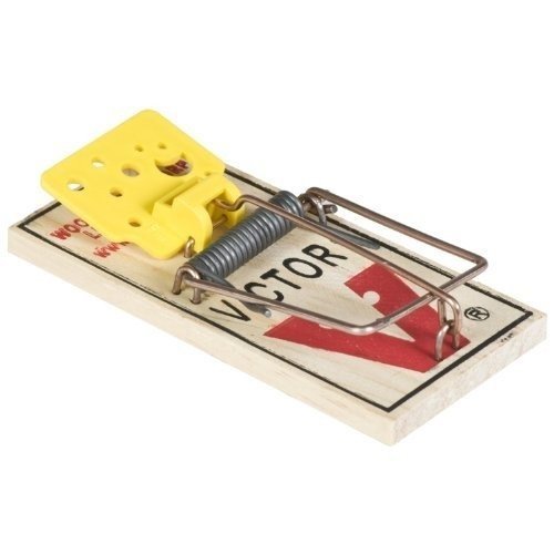 Mouse Traps 4 Pack