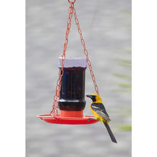 Load image into Gallery viewer, Perky-Pet 253 Oriole Jelly Wild Bird Feeder
