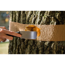 Load image into Gallery viewer, Tanglefoot Tree Insect Barrier Tub

